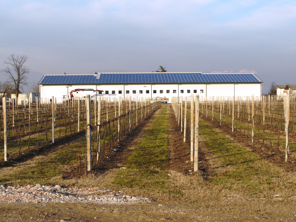 Impianto fotovoltaico della Bolda