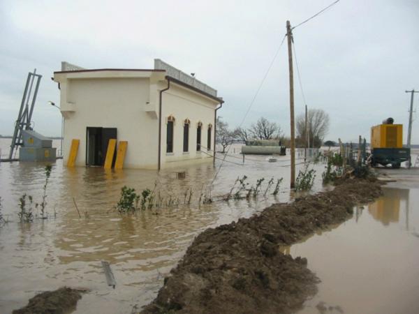 Flood of Lake Massaciuccoli